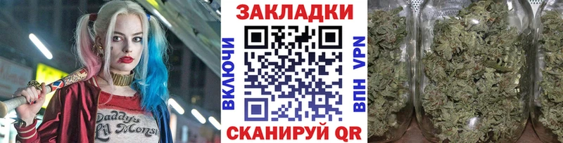 Галлюциногенные грибы Красавино