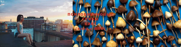 мефедрон Дмитриев