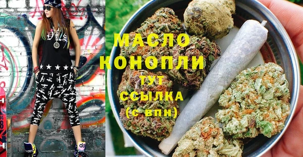 мет Дмитров