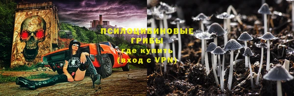 mdpv Дмитровск