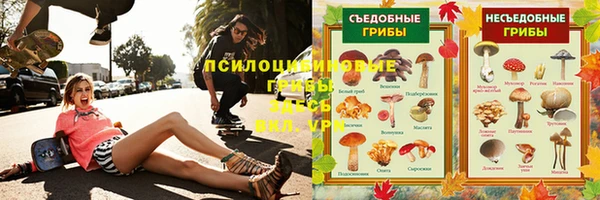 мет Дмитров