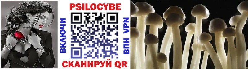 Купить  Красавино  Галлюциногенные грибы Cubensis 